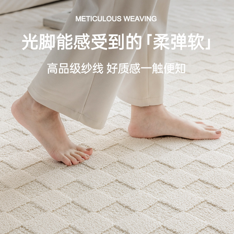 奶油风客厅防水污地毯新款法式免洗可擦卧室家用沙发轻奢高级地垫