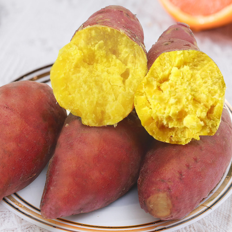 红薯苗板栗黄心秧济薯26藤蛋黄心包邮高产地瓜番薯原种脱毒种植藤