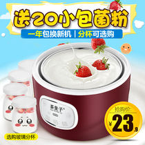 Petite Yogourt Machine entièrement automatique Accueil Homemade Mini Dorm Room Single Malolactic Machine Multifunction Sub-Cup Natto Rice Wine