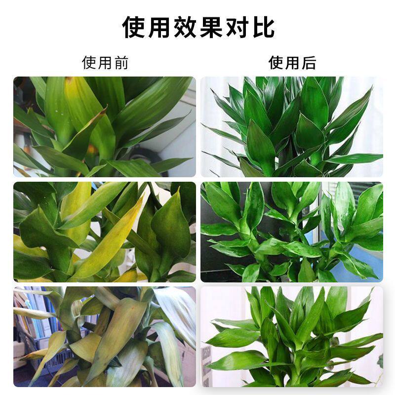 富贵竹专用营养液水培植物肥料转运观音竹子家用专治黄叶养花通用