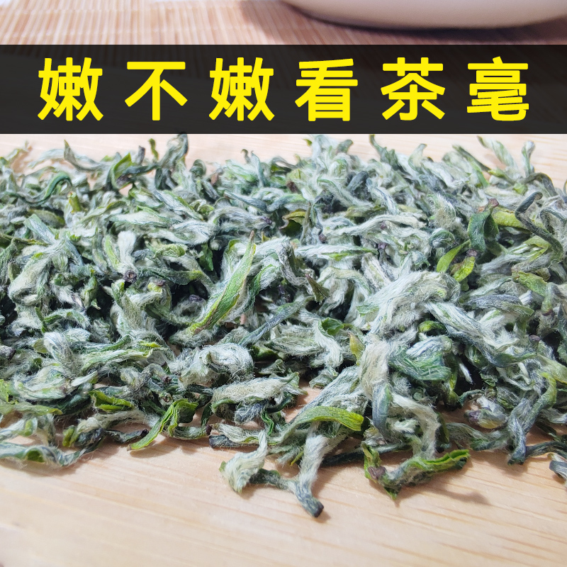 绿茶2024年新茶四川雅安蒙顶甘露特级茶叶明前高山一芽一叶自己喝 - 图0