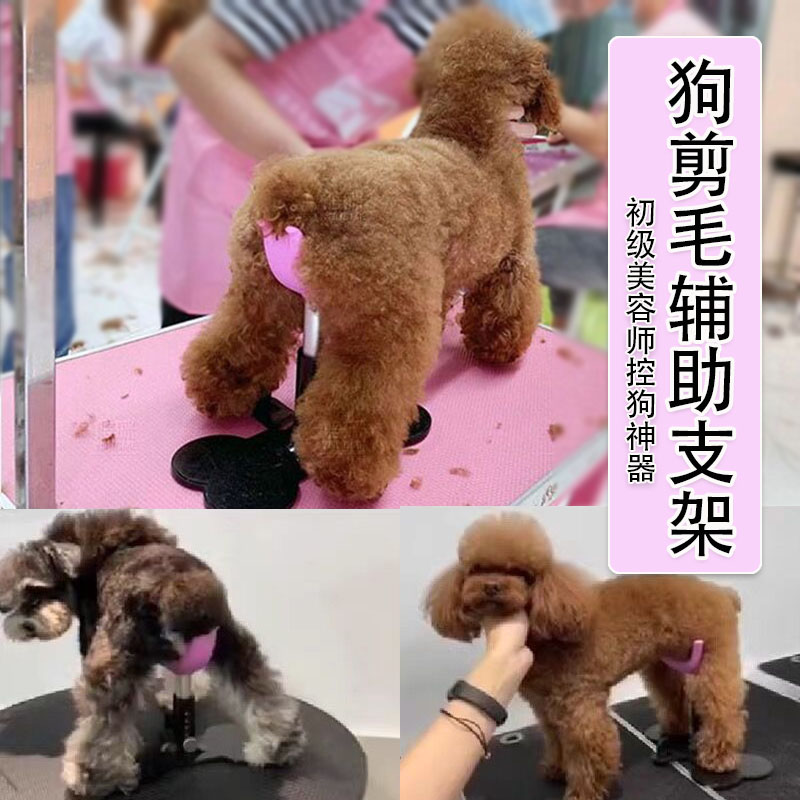 魔梯MOTI宠物美容师固定狗狗座椅犬辅助站立支架修剪毛板凳可调节 - 图1