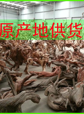 太行崖柏毛料摆件树根木雕