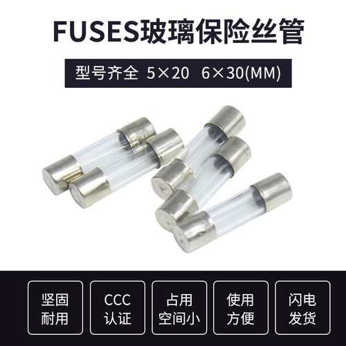 6*30mm玻璃管保险丝管F1A 2A 3A 5A 6A 8A 10A 20A 30A熔断丝器 - 图1