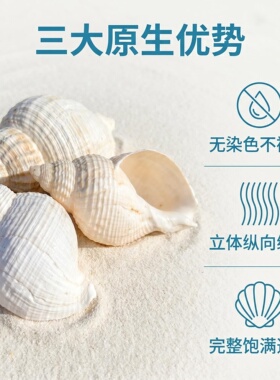 天然海螺贝壳5-9CM花生螺鱼缸造景地台装饰摆件拍摄道具礼物实拍