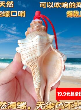 超大天然贝壳海螺口哨子孩子儿童玩具喇叭工艺品可吹号角饰品挂件