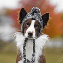 Spot Autumn Winter Gross Ball Warm Windproof Fluffy Ball Knitwear Dogfight Dog Hat Fever Sell New Pet Headgear