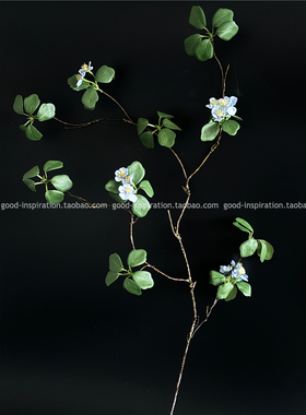 仿真植物观音莲叶蓝花