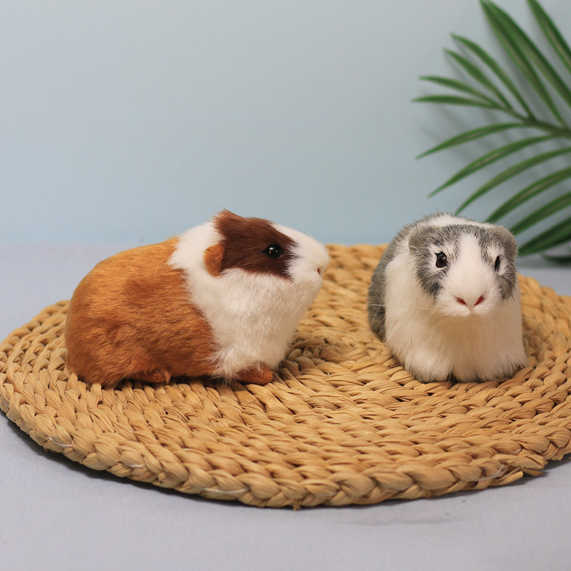 仿真动物豚鼠荷兰鼠荷兰猪海猪天竺鼠模型儿童认知教学道具仓鼠,淘宝优惠券,粉丝福利购,淘宝优惠卷