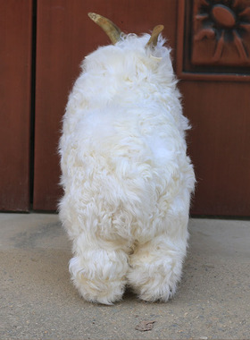 仿真绵羊仿真羊动物模型道具