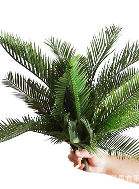 北欧风室内铁树仿真植物假花绿植小盆栽婚庆摄影摆件客厅落地装饰