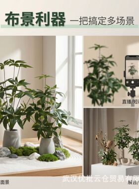仿真叶子发财树假植物造景绿植装饰绿色人造树叶盆栽高档仿生摆件