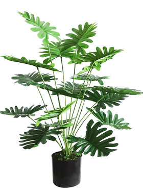 仿真植物春羽叶绿植装饰仙羽叶假花艺盆栽造景发财树塑料仿生叶子