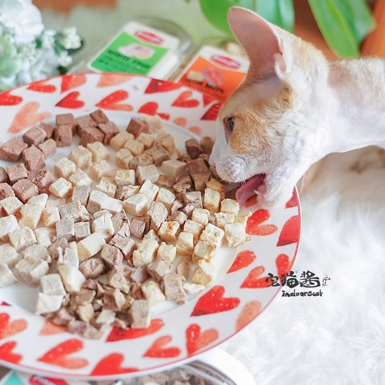 宅猫酱 雅美特冻干猫零食鸡肉鸭肉三文鱼鳕鱼兔肉营养冻干肉块,淘宝优惠券,粉丝福利购,淘宝优惠卷