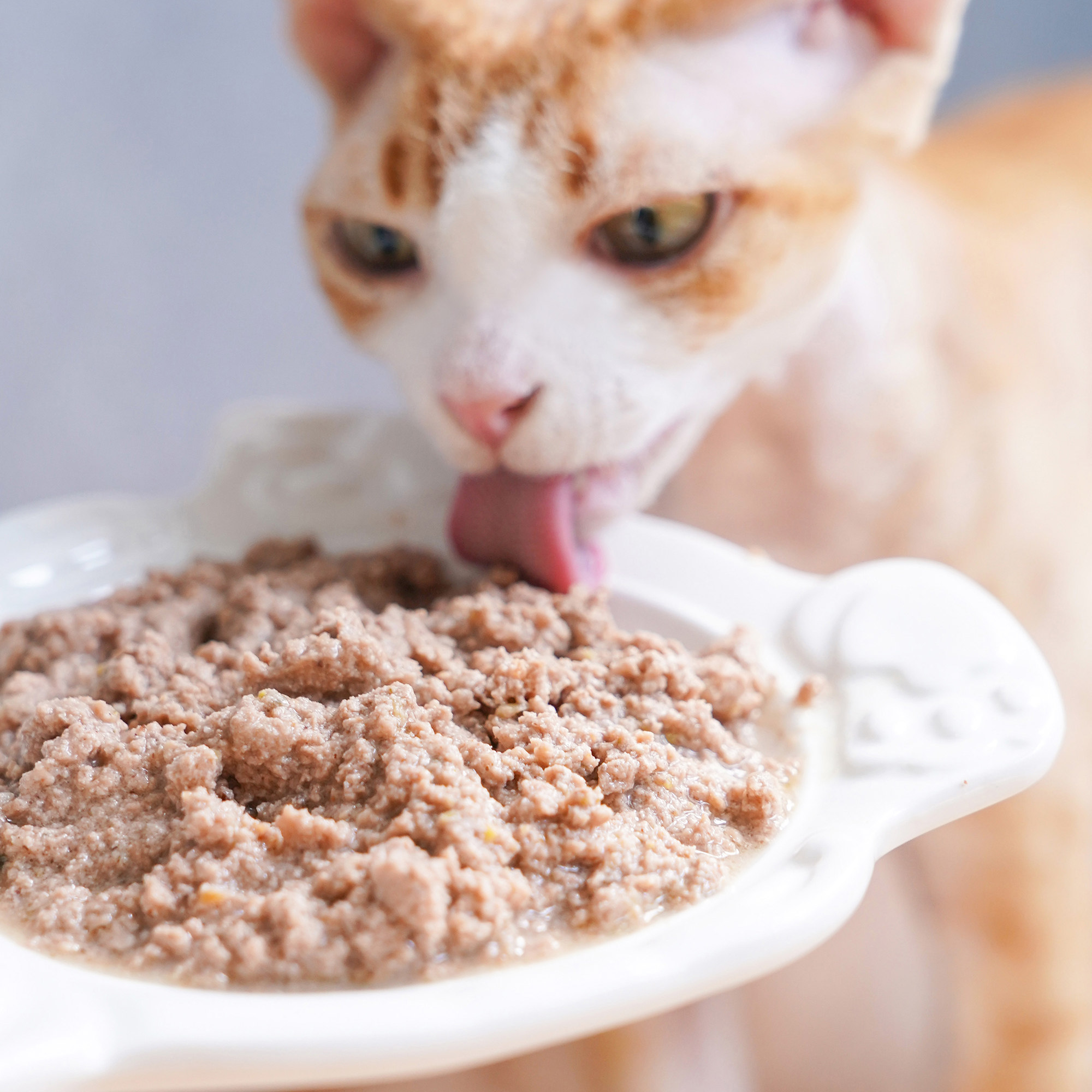 宅猫酱 Instinct百利经典猫主食罐成幼猫罐头优质蛋白鸡肉湿粮罐,淘宝优惠券,粉丝福利购,淘宝优惠卷