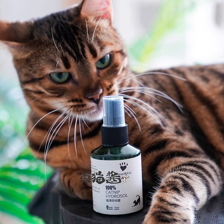 宅猫酱爪迷猫薄荷纯露猫自嗨舒缓情绪缓解压力猫薄荷水喷雾猫用品,淘宝优惠券,粉丝福利购,淘宝优惠卷