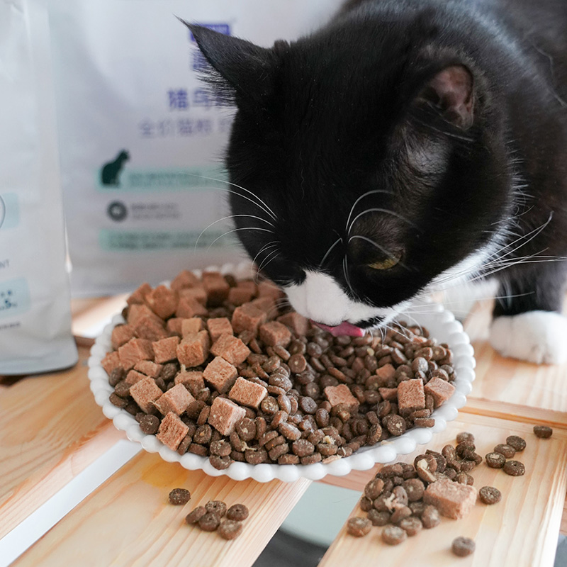 宅猫酱 蓝氏猎鸟乳鸽荒野猎兔冻干生骨肉全价猫粮成幼猫主粮1.5kg - 图2