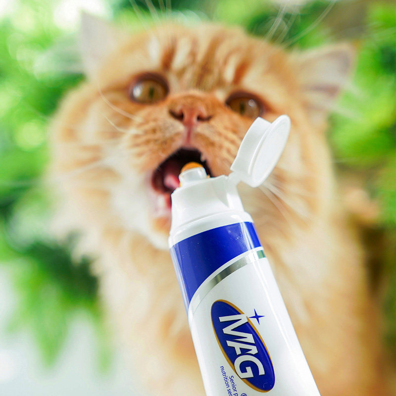 宅猫酱 MAG六种果化毛膏成幼猫用三文鱼油营养去毛球肠道清理120g,淘宝优惠券,粉丝福利购,淘宝优惠卷