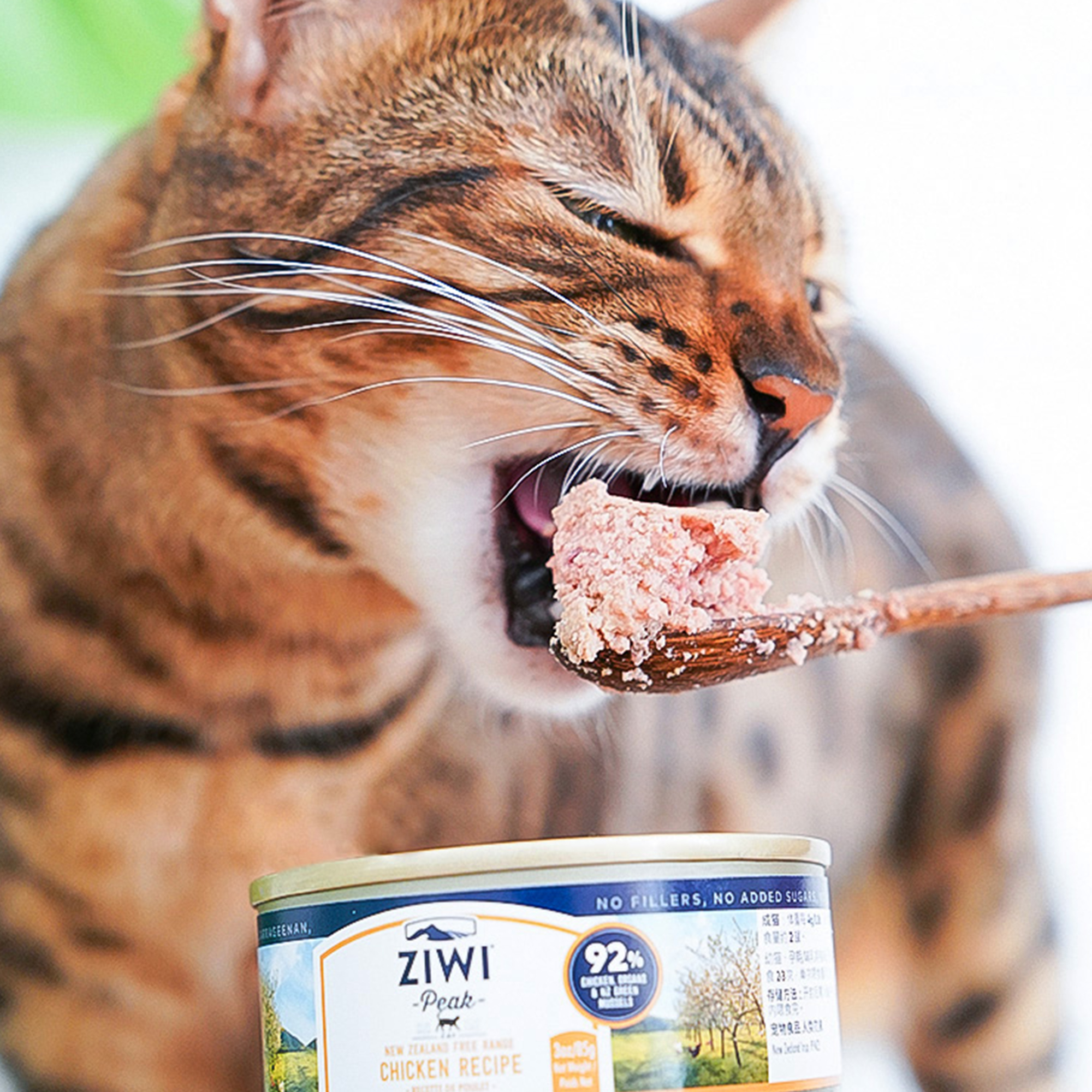 宅猫酱 ziwi滋益巅峰猫罐头鸡肉牛肉鳕鱼猫湿粮进口营养主食罐6罐 - 图1