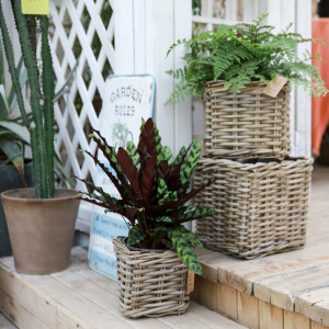 olvy进口印尼藤编花盆阳台花园装饰绿植筐户外园艺摆件花篮