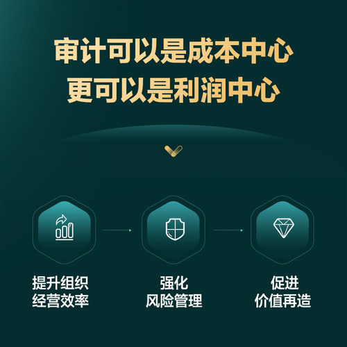 增值型内部审计提升经营效率强化风险管理促进价值再造 财务内部审计书籍 人民邮电出版社 - 图0