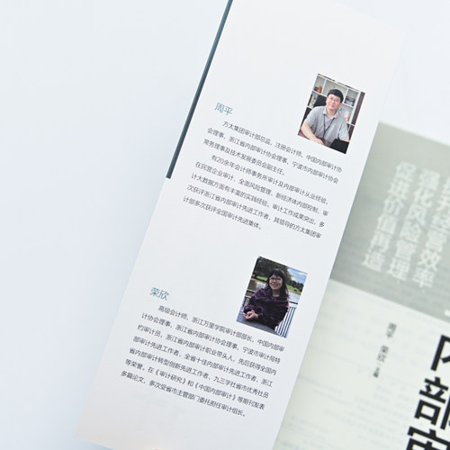 增值型内部审计提升经营效率强化风险管理促进价值再造 财务内部审计书籍 人民邮电出版社 - 图2