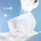 尼多熊 Детское нижнее белье подходит для мужчин и женщин, хлопковые шорты