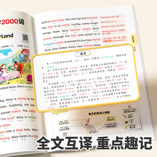 抖音同款】60篇英语童话故事学会小学2000词小学英语语法120条英语单词背诵手册搞定词汇趣味汇总语法40篇记完知识点归纳总结积累 - 图2