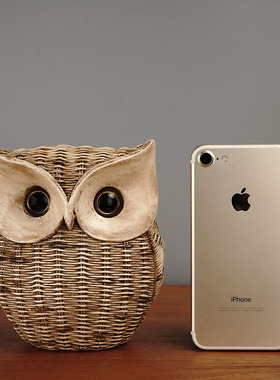 客厅摆件高端大气上档次现代简约2025入户玄关摆高级感小众猫头鹰