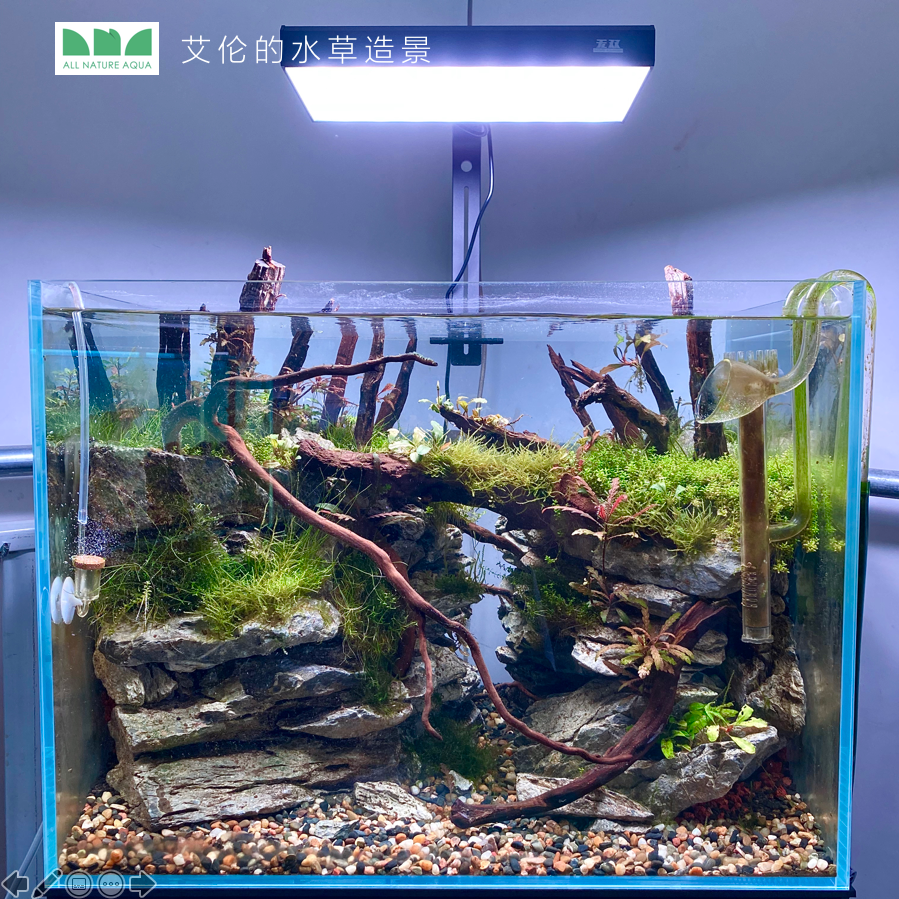 艾伦的水草造景无双led水草灯wrgbuv鱼缸灯app蓝牙控制