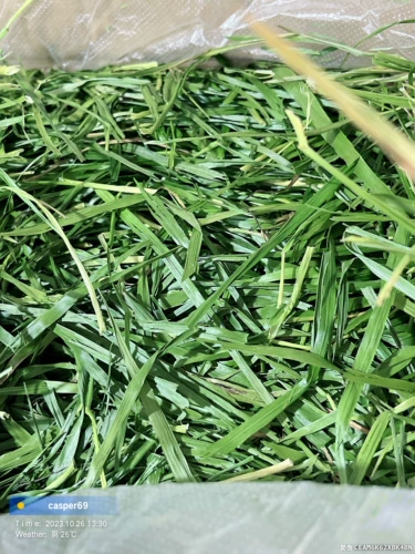 Spot Nanti Heldat Timothy Hay, выбранное вручную сушеные кролики кролика куриная голландская свинья питание один кг