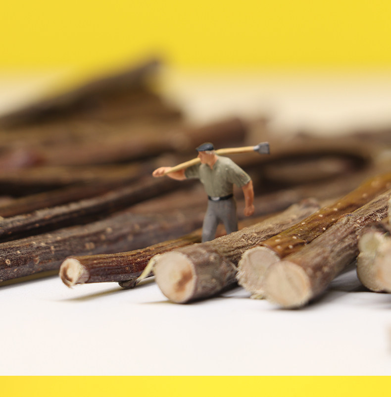 500克龙猫磨牙苹果枝宠物豚鼠荷兰猪兔子磨牙棒龙猫用品 磨牙健齿,淘宝优惠券,粉丝福利购,淘宝优惠卷