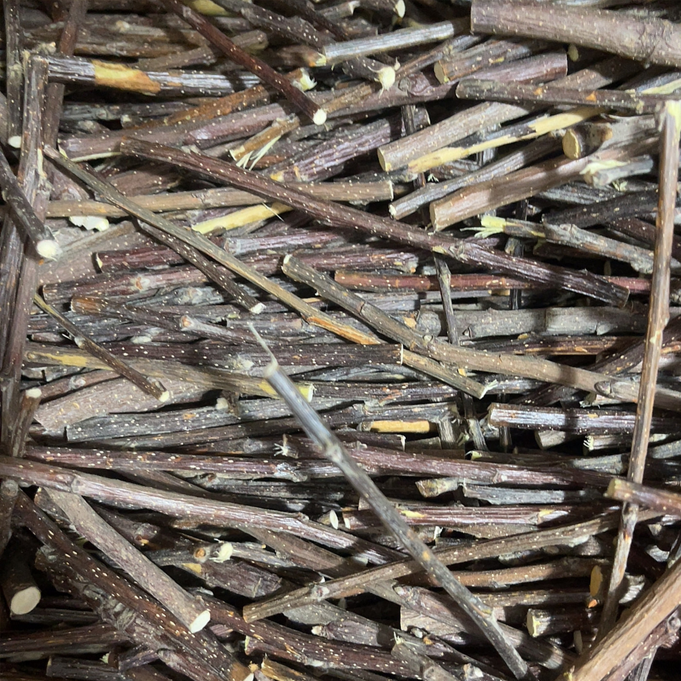 500克龙猫磨牙苹果枝宠物豚鼠荷兰猪兔子磨牙棒龙猫用品 磨牙健齿,淘宝优惠券,粉丝福利购,淘宝优惠卷