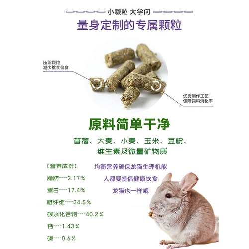 Ccclub Club Totoro Pets Food Healethe