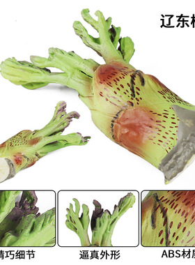 创意仿真假野生蔬菜辽东楤木食物模型家居食品店厨房橱柜摆件装饰