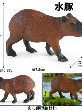 跨境儿童科教仿真实心野生动物模型水豚认知玩具家居桌面摆件批发