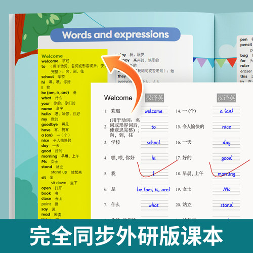 【易蓓】默写100外研三起小学英语单词记忆本默写英汉互译英语本 - 图0