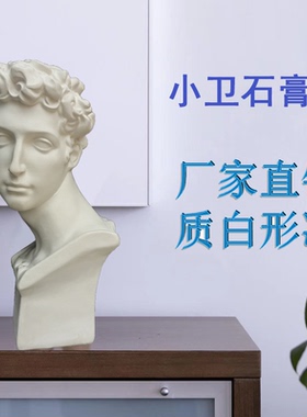 维纳斯石膏像素描装饰摆件包邮