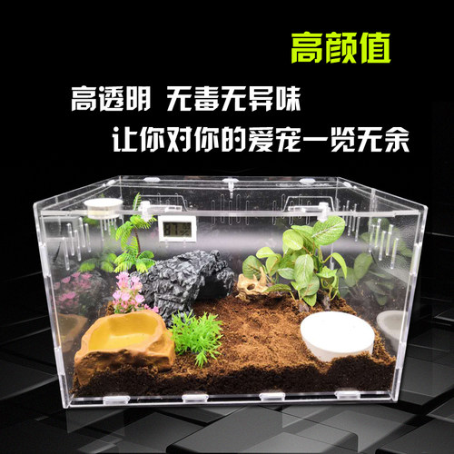 爬虫箱仓鼠亚克力饲养盒子寄居蟹蜘蛛角蛙守宫蜥蜴爬宠昆虫生态箱 - 图1