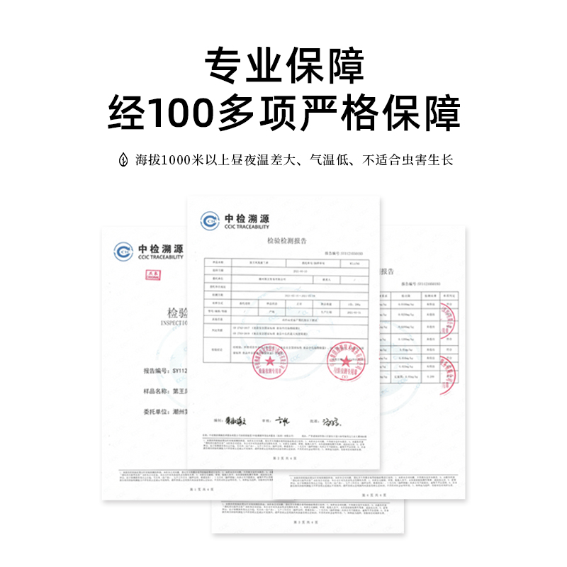 潮州凤凰单丛乌岽古树宋种品鉴120年树龄海拔1150米醇香型乌龙茶 - 图2