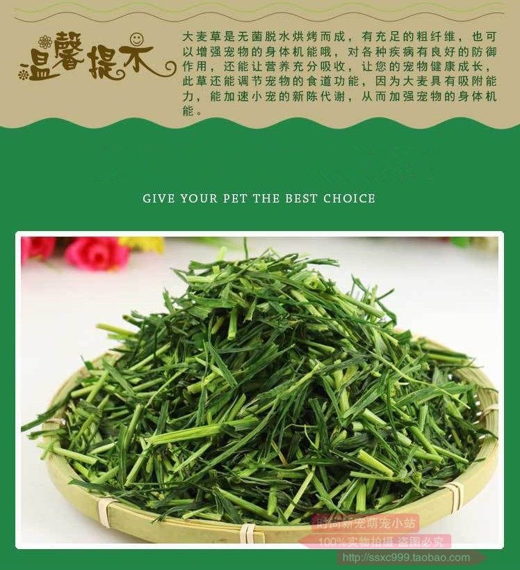 包邮烘干大麦草段豚鼠荷兰猪粮食天竺鼠宠物兔兔干草龙猫牧草饲料,淘宝优惠券,粉丝福利购,淘宝优惠卷