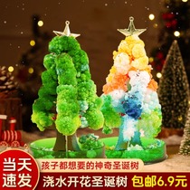 Magic Christmas Tree Flowering Paper Tree Crystalline Diy Material Bag Watering 2023 Christmas Child handmade small gift