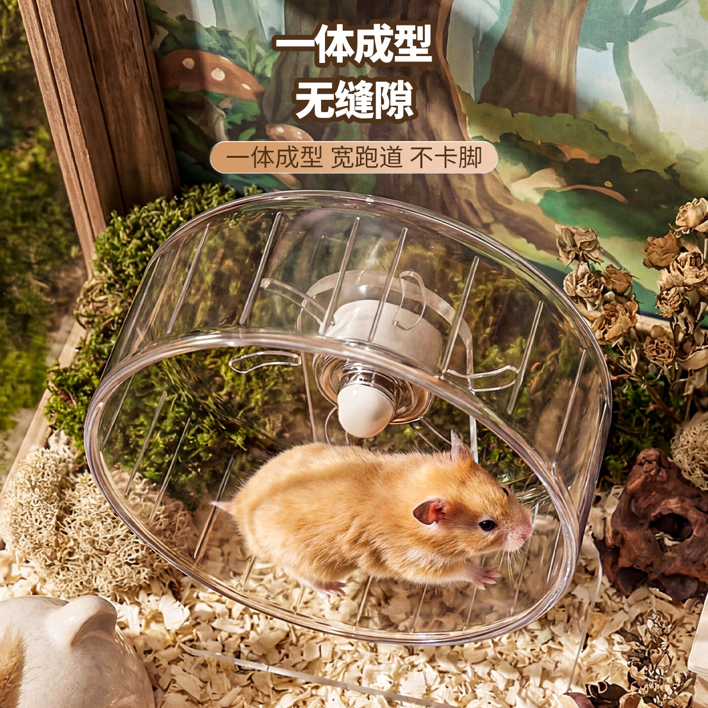 仓鼠跑轮静音玩具滚轮透明跑步娱乐玩具造景超宽花枝鼠金丝熊用品,淘宝优惠券,粉丝福利购,淘宝优惠卷