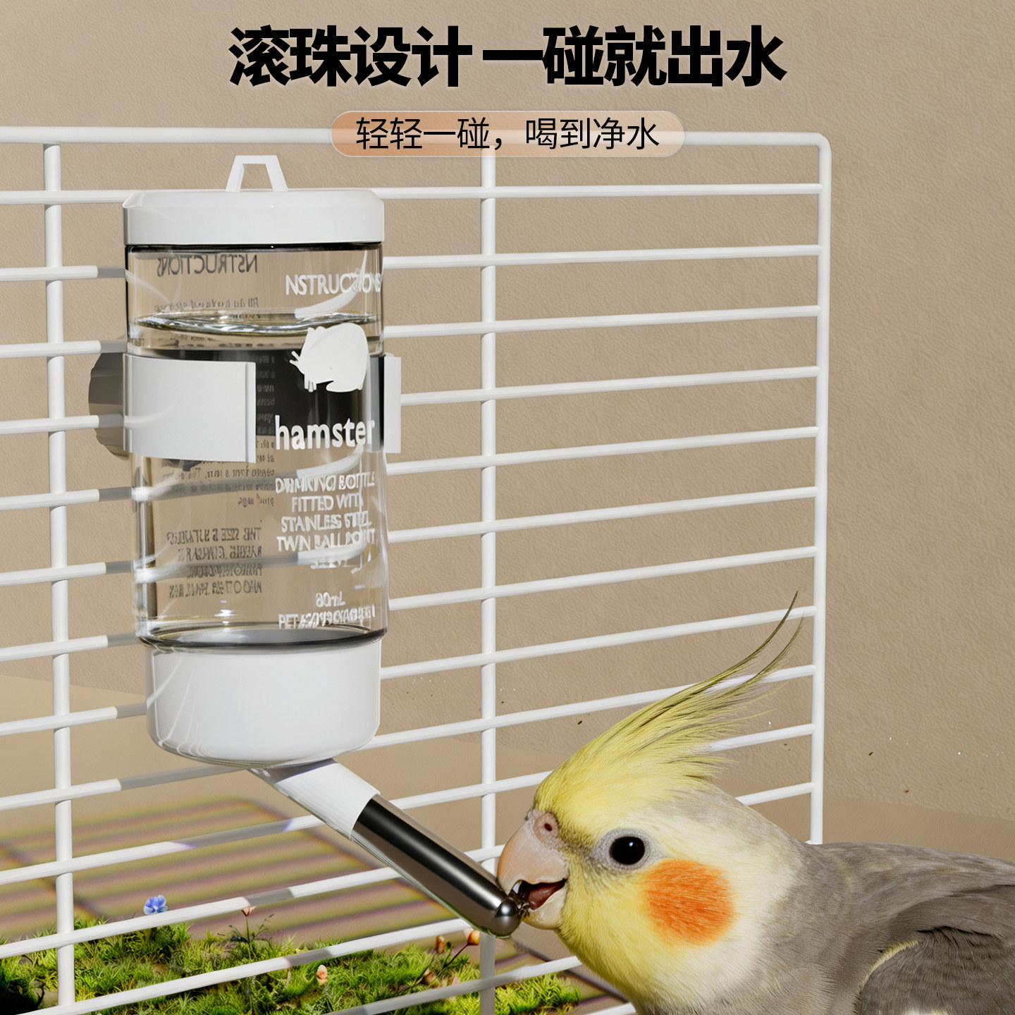 图2