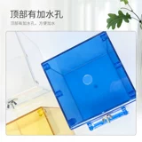 Тайгерский бассейн бассейн птиц продукты птицы peony xuanfeng thrus Восемь брата, брат Плоттен Бак -капель