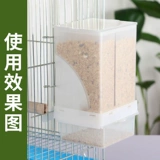 Parrot Bird Food Box Anti -Sprinkler Автоматическая фидер