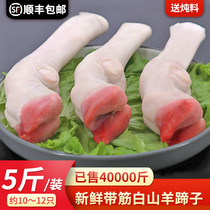 Goat Hooch Fresh 5 Catty Commercial Frozen Whole Box Whole Claw Goat Skull Non Cooked Hooves Raw Goats Foot Hooch