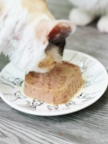 Японский королевский молочный пирог кошачьи консервированные/ланч -коробки во время мусса для млекопитающих в грудном млекопиталом сталированное пленок 100G*6