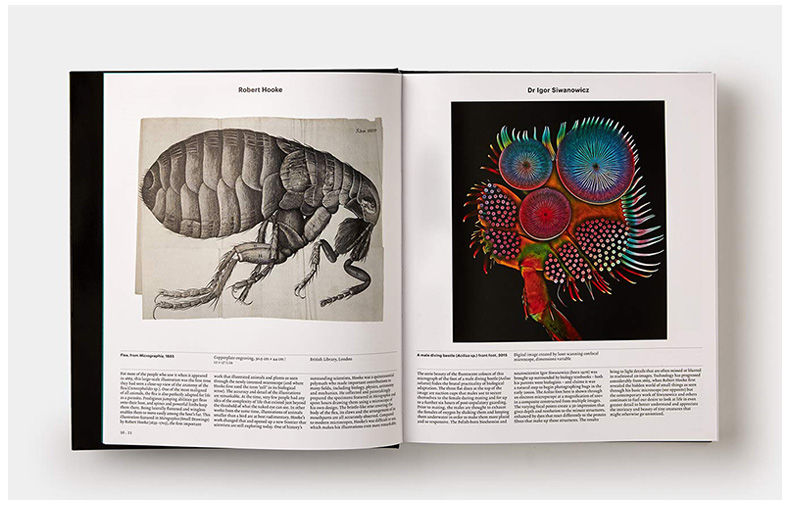 动物 探索动物学的世界 英文原版 Animal Exploring the Zoological World 300多幅迷人的图片 画册 英文版进口原版英语书籍