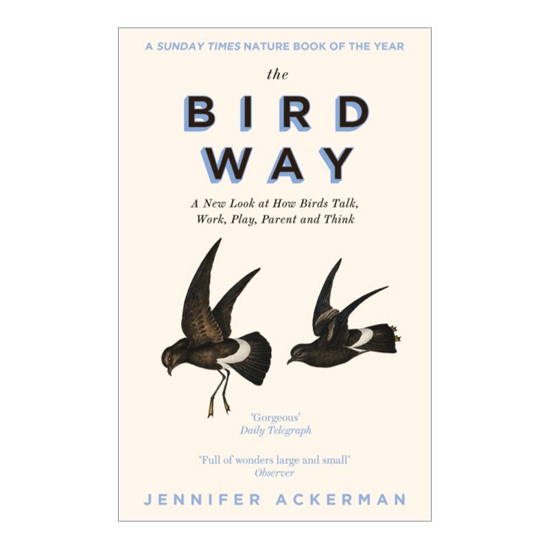 鸟 英文原版 The Bird Way 重新审视鸟类如何说话 工作 玩耍 育儿和思考 英文版 进口英语原版书籍